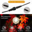 Alyzabeth Indoor / Outdoor 27 - Bulb 1524 cm Plug-in LED Globe String Light