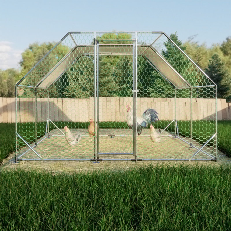 Grand poulailler en cage, H 76,32 po x l 119,28 po x P 154,08 po