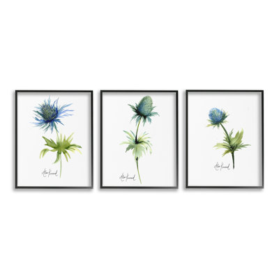 «Thistle Watercolors On White Single Frame» par Alexandria Gilbert Kincaid, 3 pièces sur toile