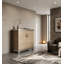 Accent Cabinet