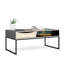 Sled Coffee Table with Storage