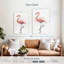 Flamant rose Brampt-108484654