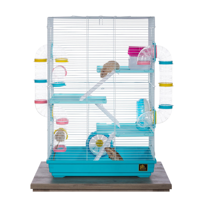 Cage à souris avec rampe Camargo, Bleu / blanc