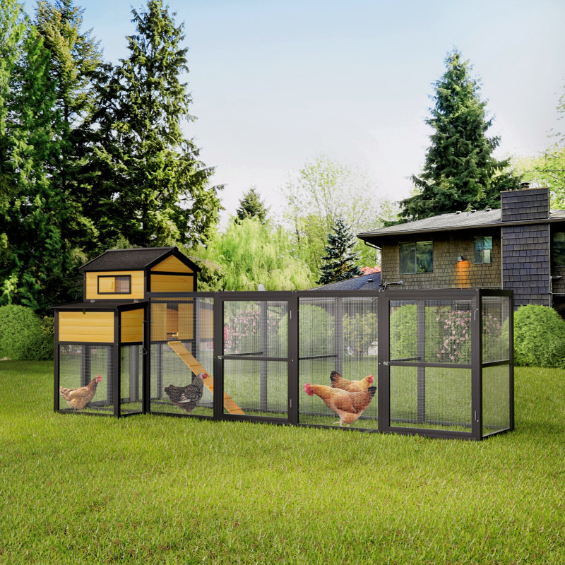 Grand poulailler en bois noir de 150 po avec poulailler et nichoirs, plateau coulissant, porte coulissante, grillage antidérapant pour 4 à 6 poules