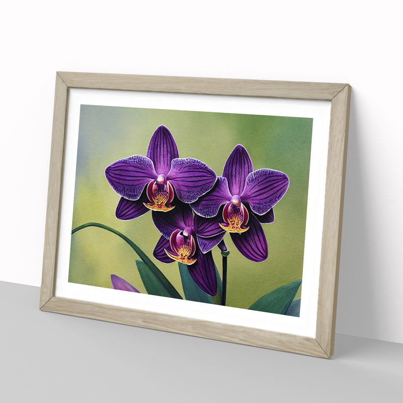 Gorgeous Orchid Flowers - Single Picture Frame Print, 25cm H x 34cm W x 2cm D, Oak Framed