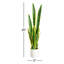 30 po Plante artificielle Sansevieria