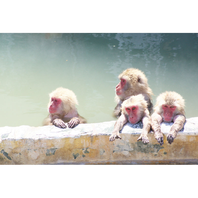 Divante I Like Hot Springs - Photographie sur toile tendue, H 8 po x l 12 po