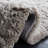 Huron 701 Area Rug In Grey-1946761384