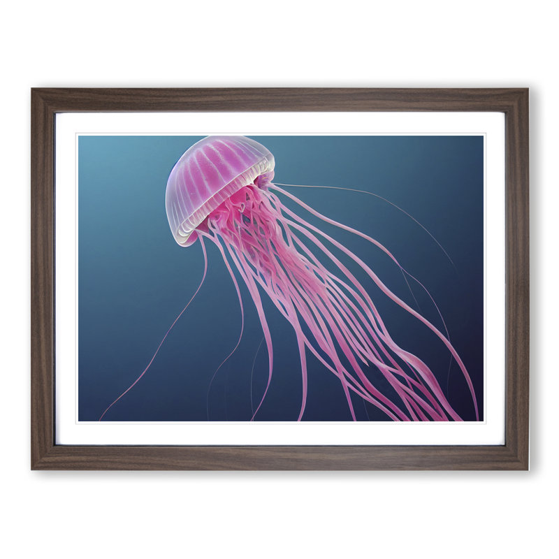 Jellyfish - Single Picture Frame Print, 46cm H x 64cm W x 2cm D, Walnut