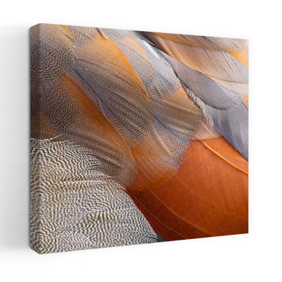 Art contemporain, art contemporain abstrait