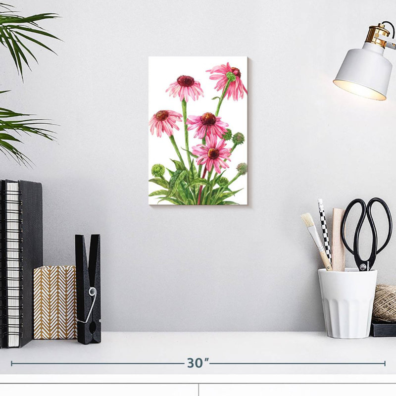 Harnek Echinacea Flower Cluster, 12" H x 8" W