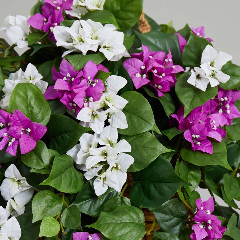 Bougainvillea artificiel mélangé dans un panier
