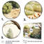 «Farm Fresh Garden II», reproduction d'art sur toile-1098049742-1098049741