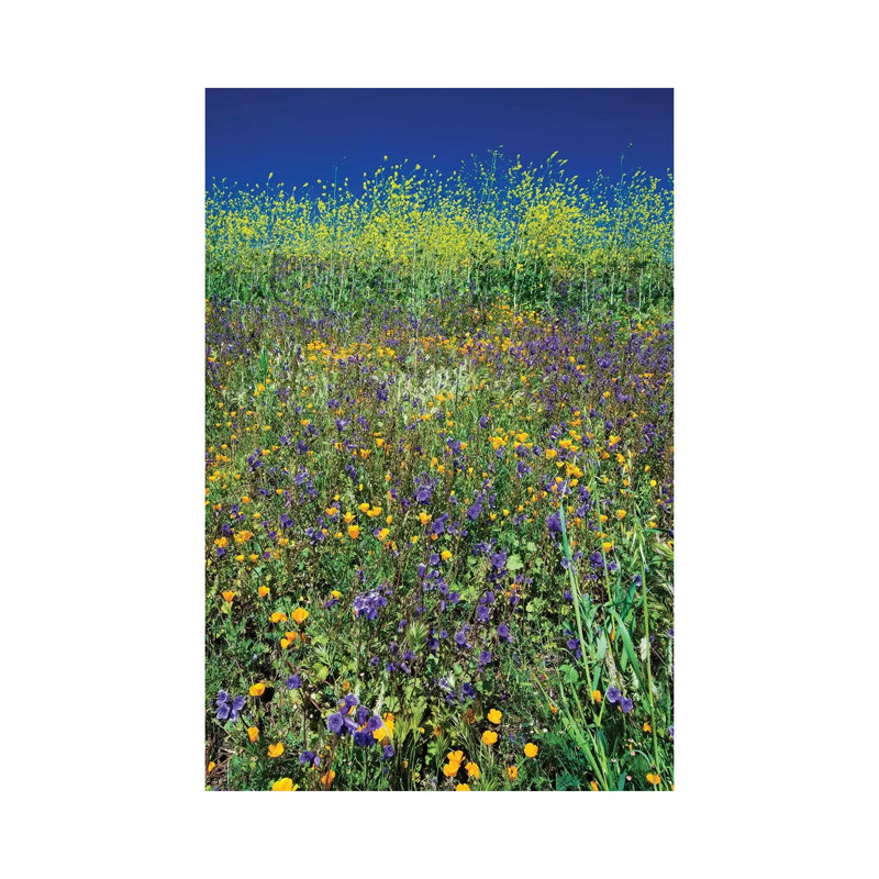 Field Of California Poppies And Canterbury Bells Wildflowers, Diamond Valley Lake, California, USA I by Panoramic Images - Wrapped Canvas Gallery-Wrapped Canvas Giclée