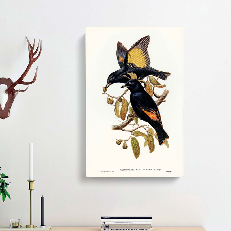 Rawnsley's Bowerbirds by Elizabeth Gould - Wrapped Canvas Print, 50cm H x 35cm W x 3cm D