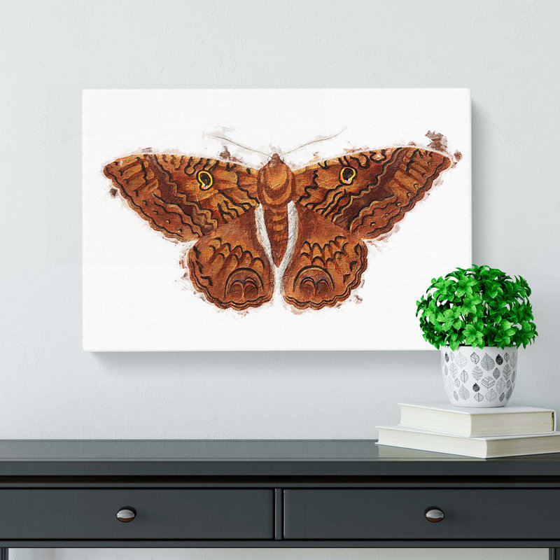 Sable Moth by George Shaw - Wrapped Canvas Print, 40cm H x 60cm W x 3cm D
