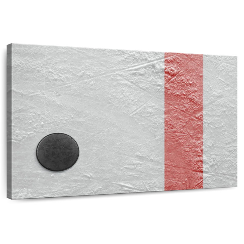 Rondelle de hockey sur glace Sireci, H 30 po x l 45 po