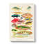 Great Barrier Reef Fishes XVI by W. Saville-Kent - Wrapped Canvas Painting-55366256