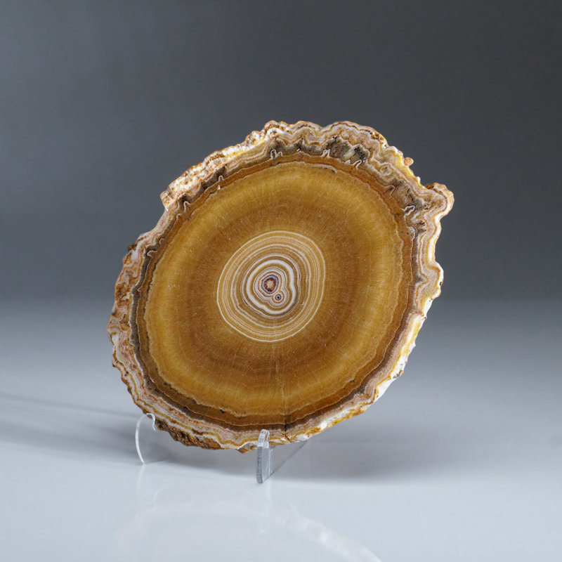 Genuine Aragonite Stalactite Slice from Mexico (0.6 lbs)