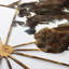 Wall Decor Metal