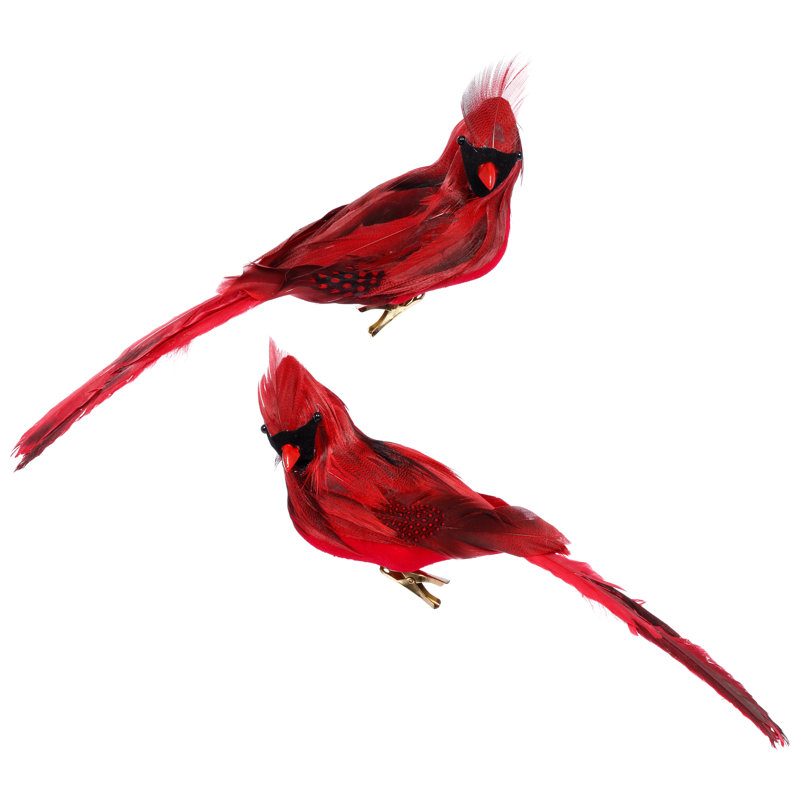 Cardinal Décor, boîte de 6 - 11 X 3,5 pouces