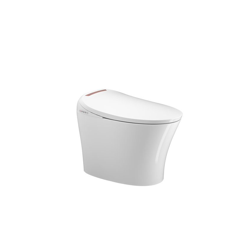 Toilette bidet allongée à double chasse