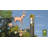 41'' H Metal Animals Weathervane