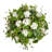 Hydrangea Arrangement-124954907