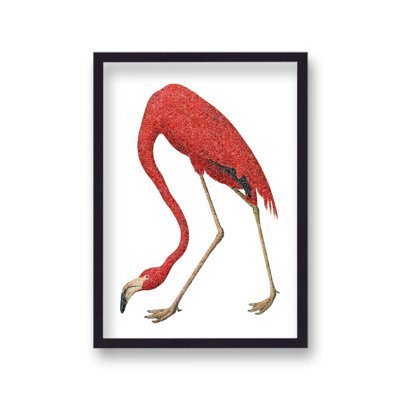 Vintage Pink Flamingo 1 Piece Single Picture Frame Wall Art