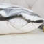 Abstract Backrest Pillow Cover-1106944139