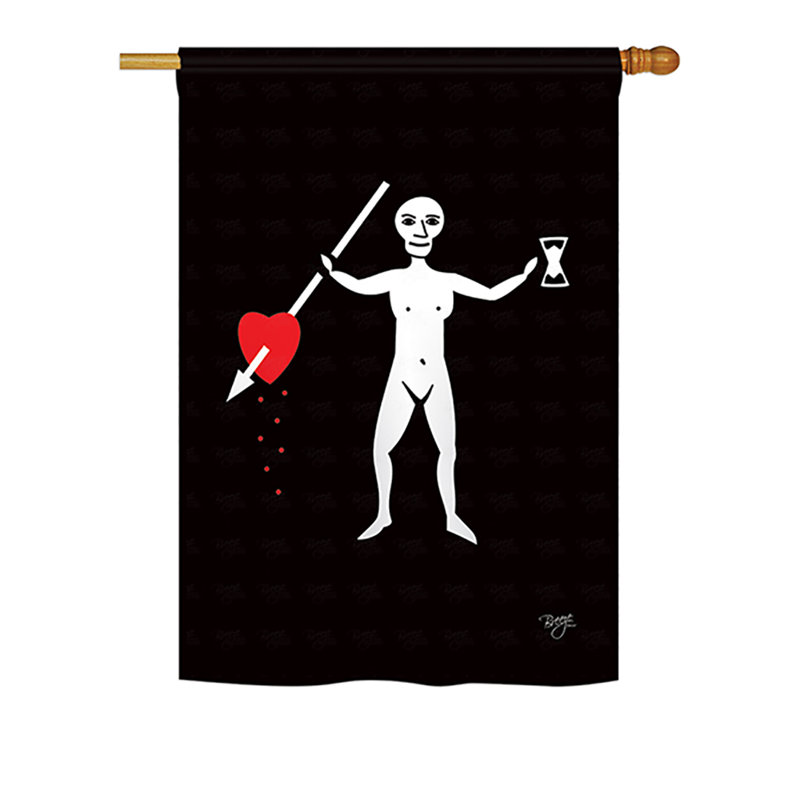 Drapeau maison en polyester 2 côtés john phillips, H 18,5 po x l 13 po