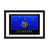 Blanc n'est pas disponible