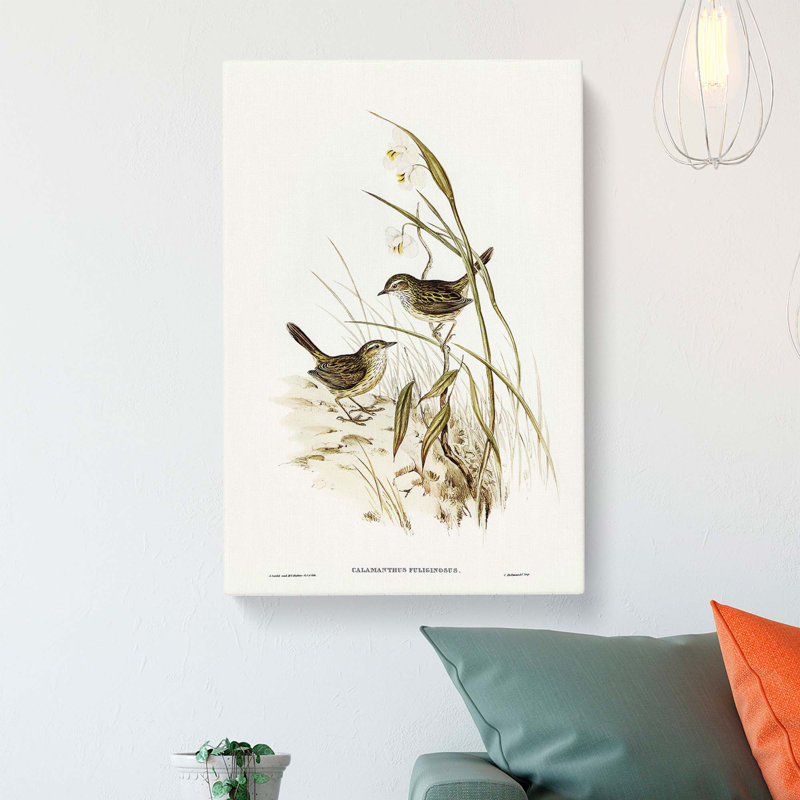 Striated Reed Larks by Elizabeth Gould - Wrapped Canvas, 60cm H x 40cm W x 3cm D