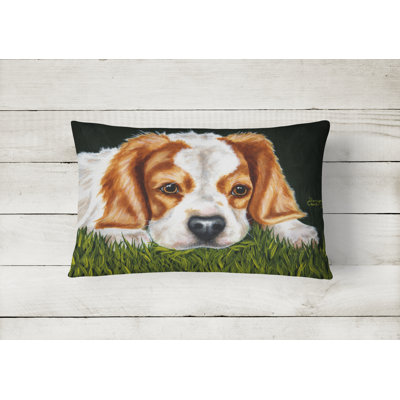 Outdoor Throw Pillow