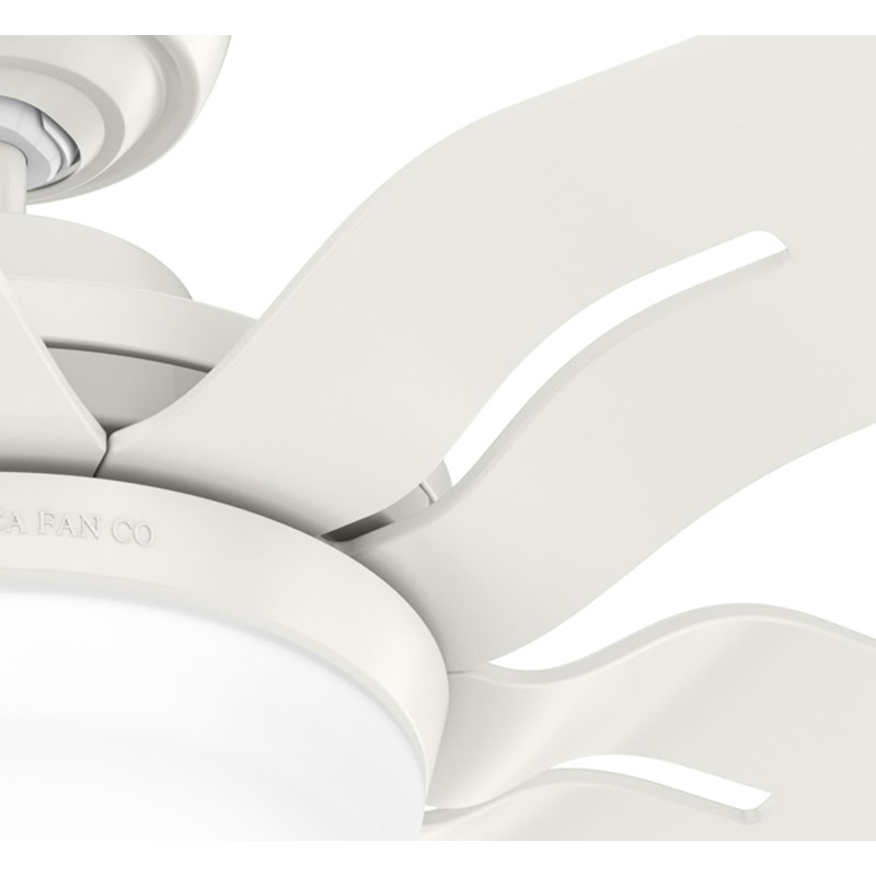 56" Correne 5 - Blade LED Standard Ceiling Fan with Remote Control and Light Kit Included, White