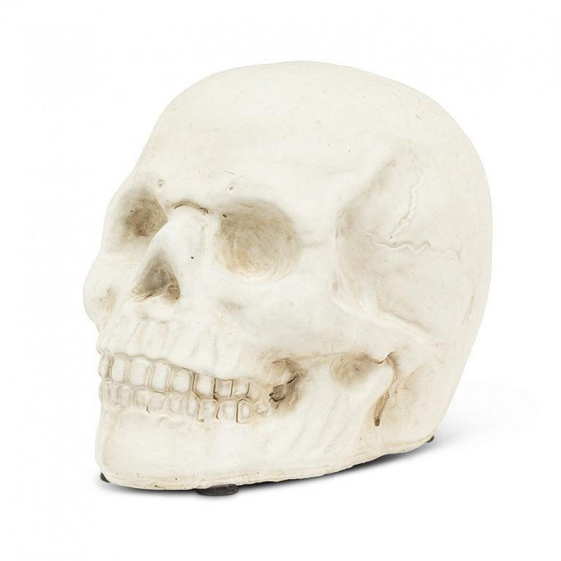 Small Skull
