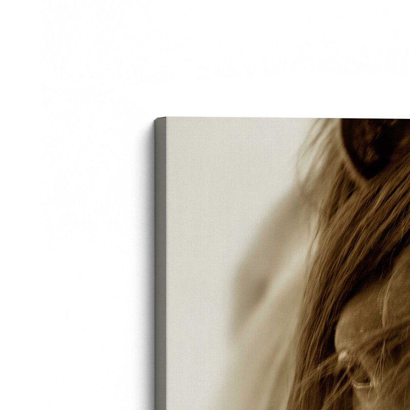Majestic Wonder, grande impression sur toile, H 36 po x l 54 po