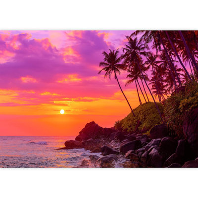 Tropical, coucher de soleil mauve, île, plage, nature, photographie, paysage rustique, papier peint nautique