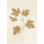 «You Are So Loved Sq BW» par Julia Purinton, reproduction sur toile tendue