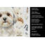 Serviette de cuisine Coffee Bar-1234934471