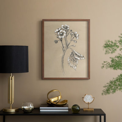 Reproduction encadrée rétro en botanique II