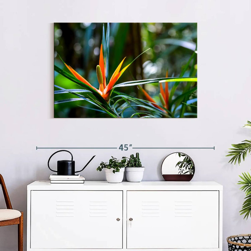 Harnek, oiseaux tropicaux du paradis, H 24 po x l 36 po
