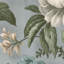 Superfresco Easy Gardenia Floral Wallpaper-119317891