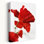 Art contemporain contemporain à motif de coquelicots