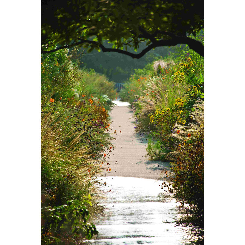 Nature Walk - Photographie sur toile tendue, H 18 po x l 12 po