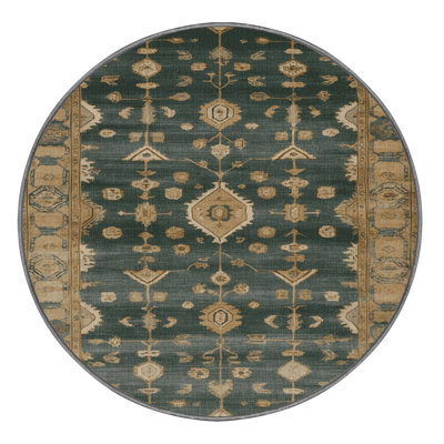 Machine Washable Overdyed Brown Area Rug