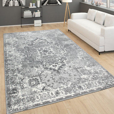 Nolin Oriental Area Rug