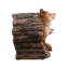 Animals Weather Resistant Polyresin Garden Statue