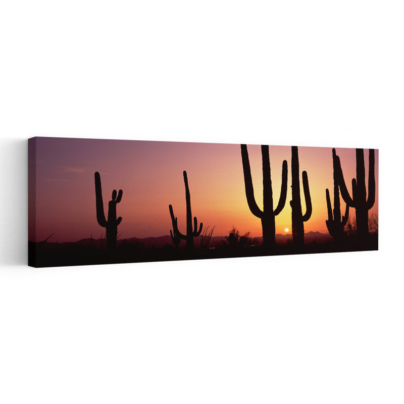 Silhouette Of Saguaro Cacti On A Landscape Saguaro National Park Tucson Pima County Arizona USA by Dan Merkel - Wrapped Canvas Panoramic Print