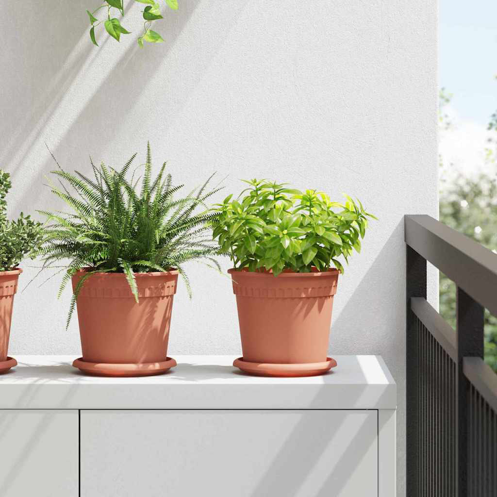 Pot Planter
